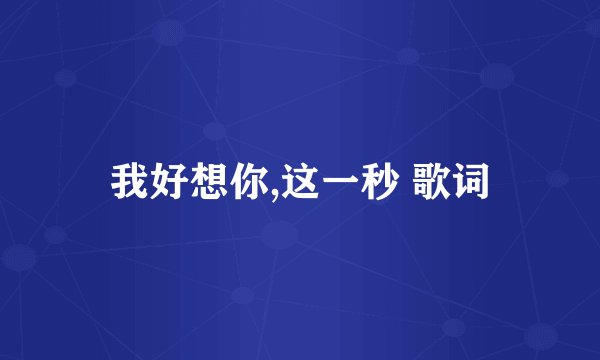我好想你,这一秒 歌词