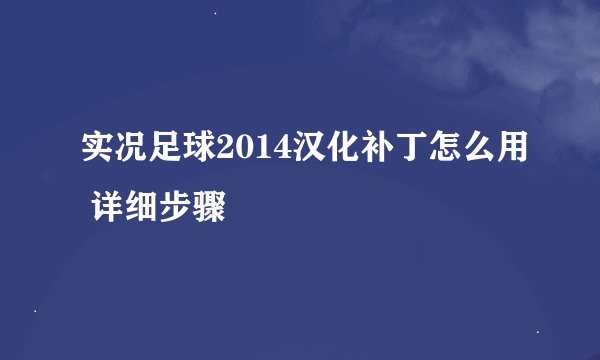 实况足球2014汉化补丁怎么用 详细步骤