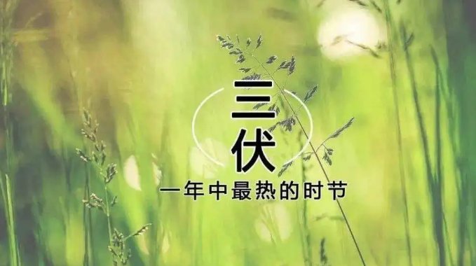 二伏是哪一天开始2022