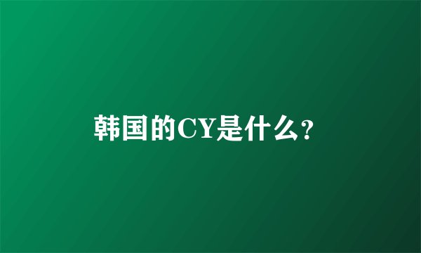 韩国的CY是什么？