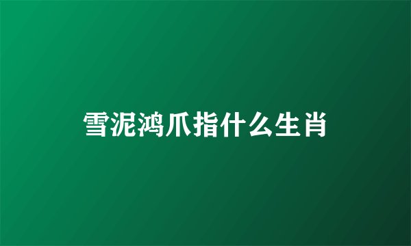 雪泥鸿爪指什么生肖