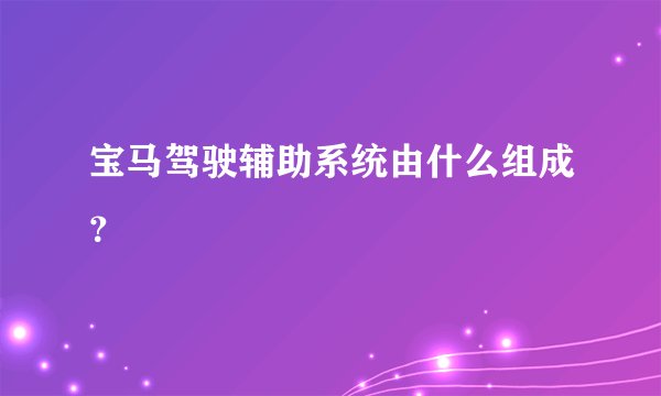 宝马驾驶辅助系统由什么组成？