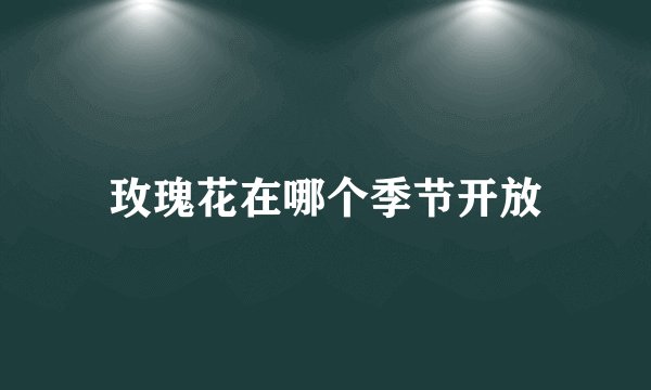 玫瑰花在哪个季节开放