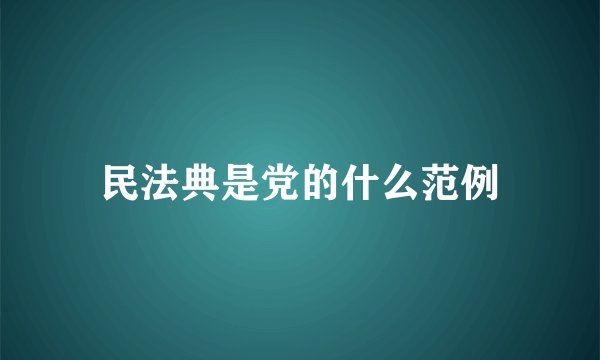 民法典是党的什么范例