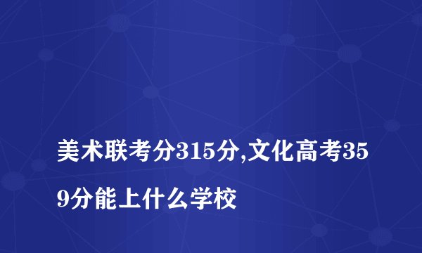 
美术联考分315分,文化高考359分能上什么学校


