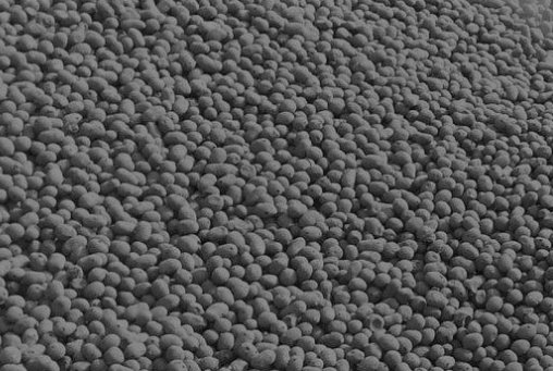 陶粒厂家哪里有