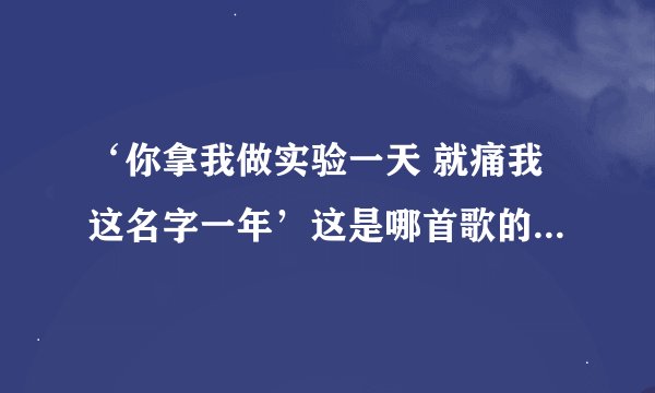 ‘你拿我做实验一天 就痛我这名字一年’这是哪首歌的词 歌手是谁及简介