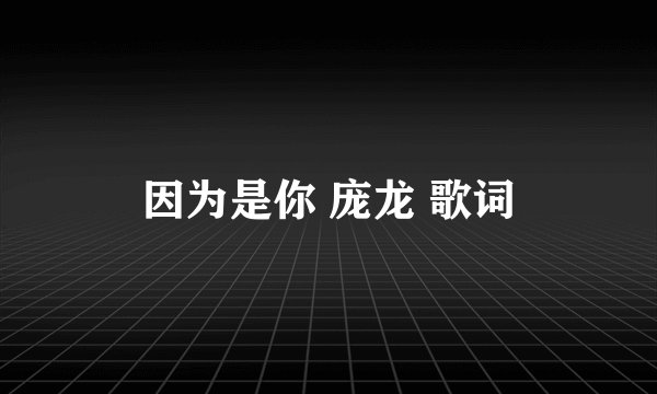 因为是你 庞龙 歌词