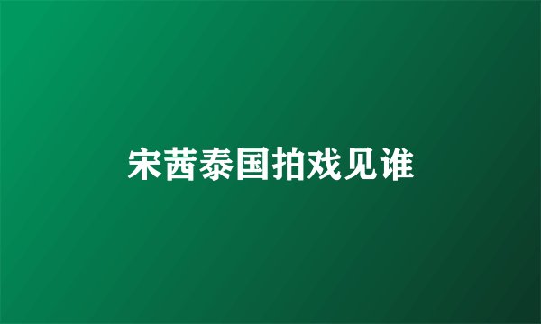 宋茜泰国拍戏见谁
