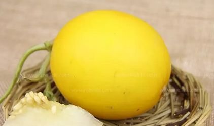 伊丽莎白瓜的营养价值，你都知道什么呢？