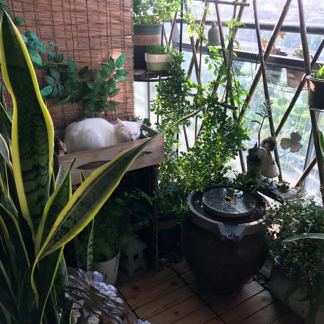 把阳台打造成一个漂亮的小花园，该如何去做？