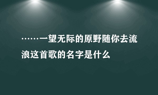 ……一望无际的原野随你去流浪这首歌的名字是什么