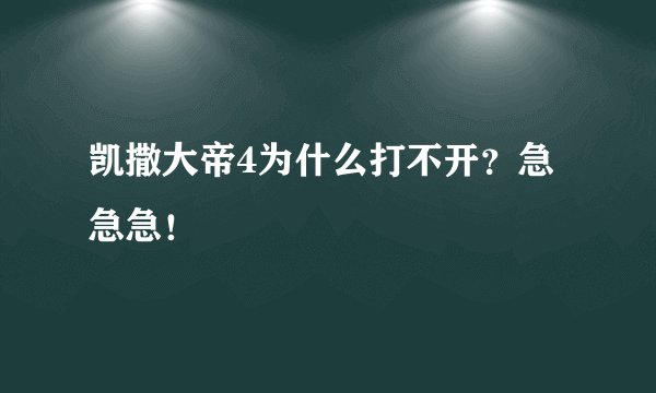 凯撒大帝4为什么打不开？急急急！