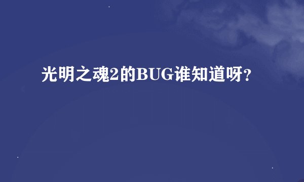 光明之魂2的BUG谁知道呀？
