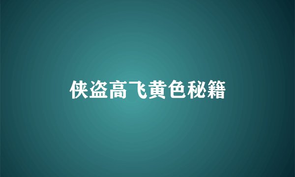 侠盗高飞黄色秘籍