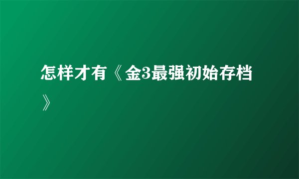 怎样才有《金3最强初始存档》