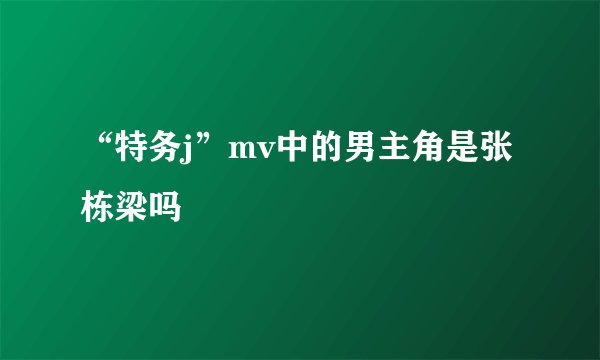 “特务j”mv中的男主角是张栋梁吗