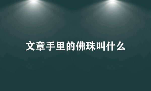 文章手里的佛珠叫什么