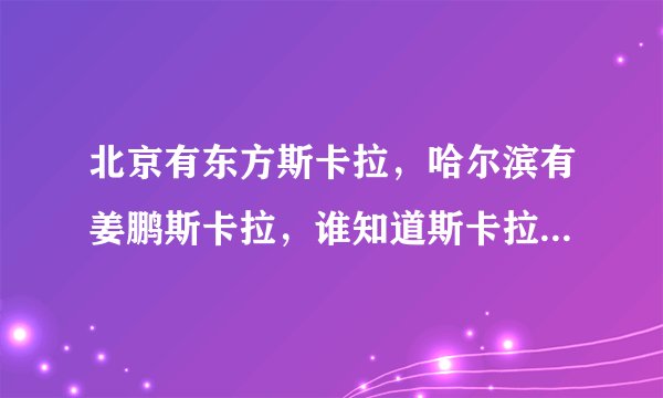 北京有东方斯卡拉，哈尔滨有姜鹏斯卡拉，谁知道斯卡拉是什么意思～