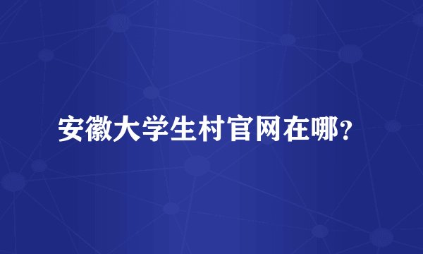 安徽大学生村官网在哪？