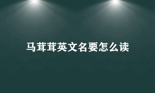 马茸茸英文名要怎么读