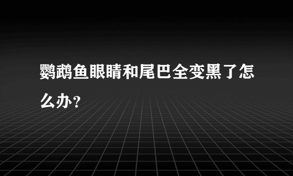 鹦鹉鱼眼睛和尾巴全变黑了怎么办？