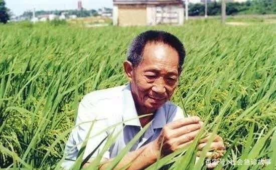 袁隆平住院原因曝光，试验基地摔了一跤，之后身体状况急转直下，你怎么看？