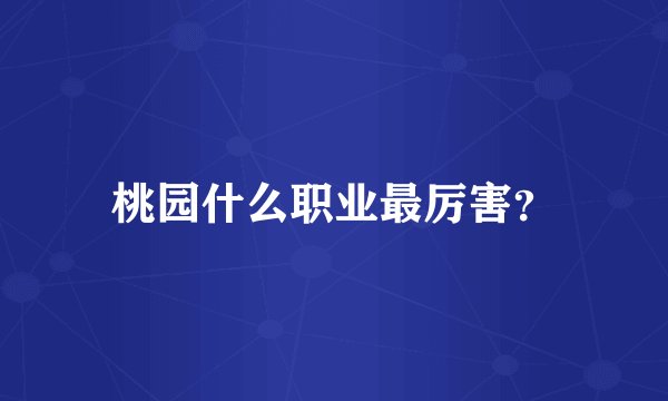 桃园什么职业最厉害？