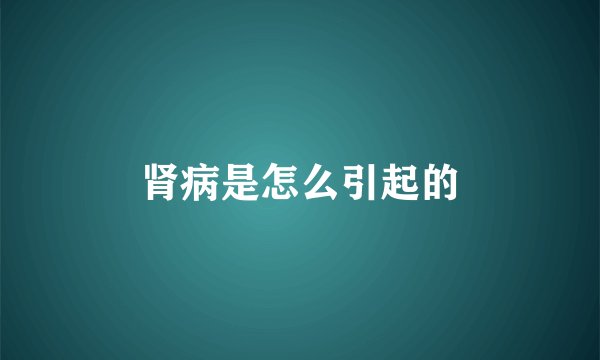肾病是怎么引起的