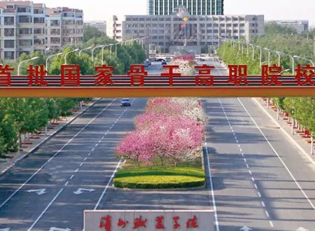 山东值得上的专科学校