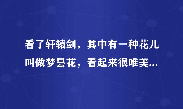 看了轩辕剑，其中有一种花儿叫做梦昙花，看起来很唯美，漂亮，梦昙花的花语是什么啊？