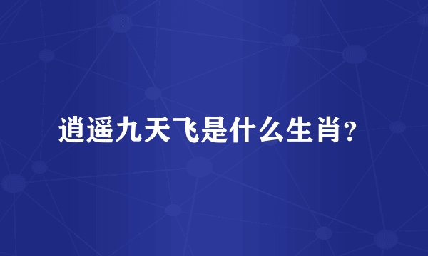 逍遥九天飞是什么生肖？