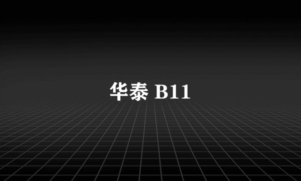 华泰 B11