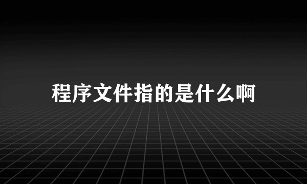 程序文件指的是什么啊