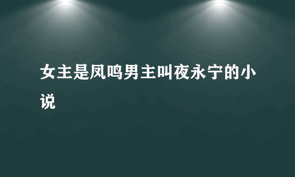女主是凤鸣男主叫夜永宁的小说