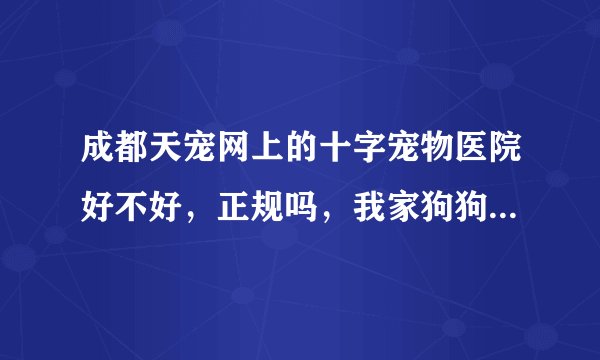 成都天宠网上的十字宠物医院好不好，正规吗，我家狗狗可能要动手术