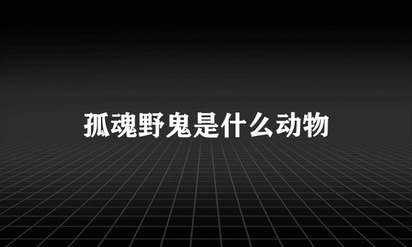 孤魂野鬼是什么动物