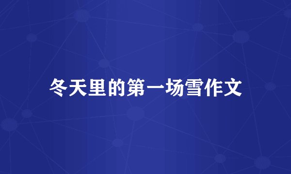 冬天里的第一场雪作文