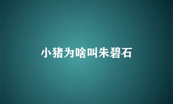 小猪为啥叫朱碧石