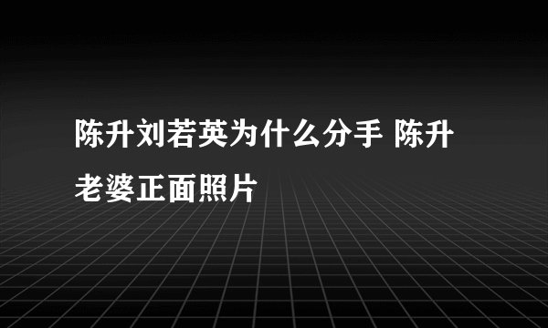 陈升刘若英为什么分手 陈升老婆正面照片