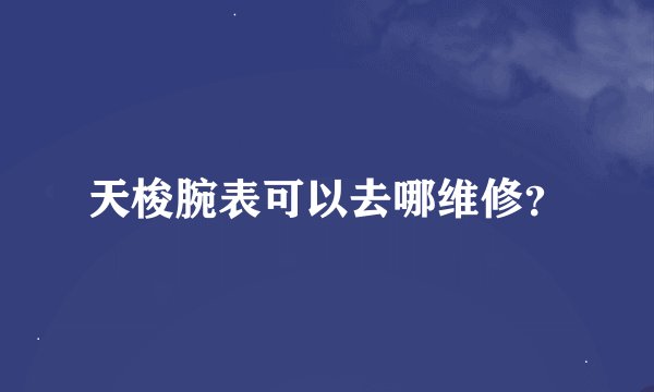 天梭腕表可以去哪维修？