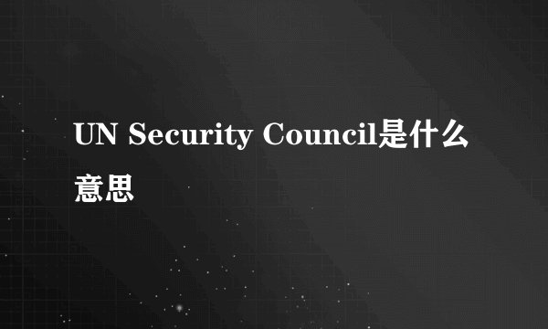 UN Security Council是什么意思