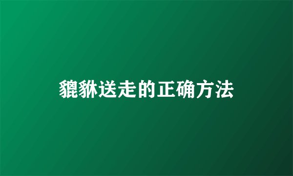 貔貅送走的正确方法