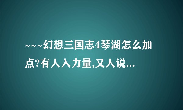 ~~~幻想三国志4琴湖怎么加点?有人入力量,又人说加仙骨,又有人说加