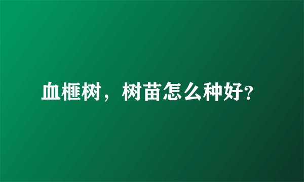 血榧树，树苗怎么种好？