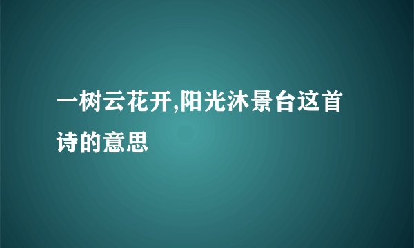 一树云花开,阳光沐景台这首诗的意思
