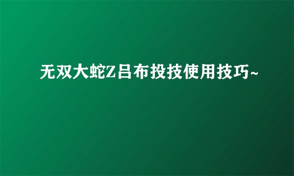 无双大蛇Z吕布投技使用技巧~