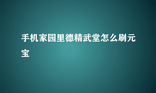 手机家园里德精武堂怎么刷元宝