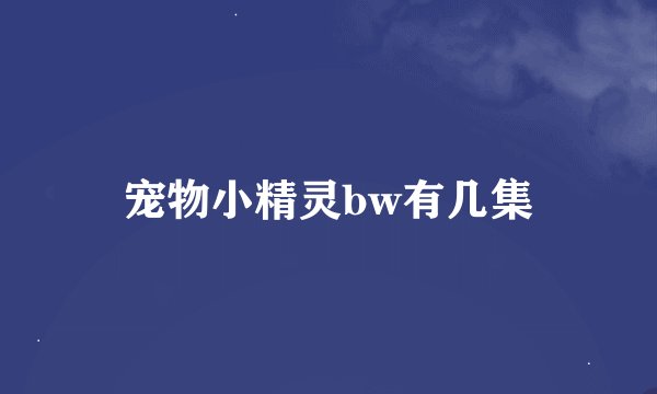 宠物小精灵bw有几集