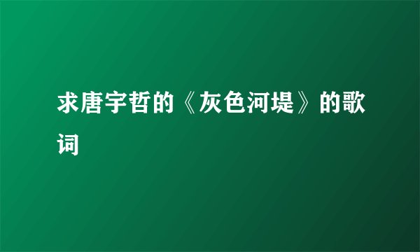 求唐宇哲的《灰色河堤》的歌词